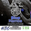 Beard eJuice No36 Blue Mamba